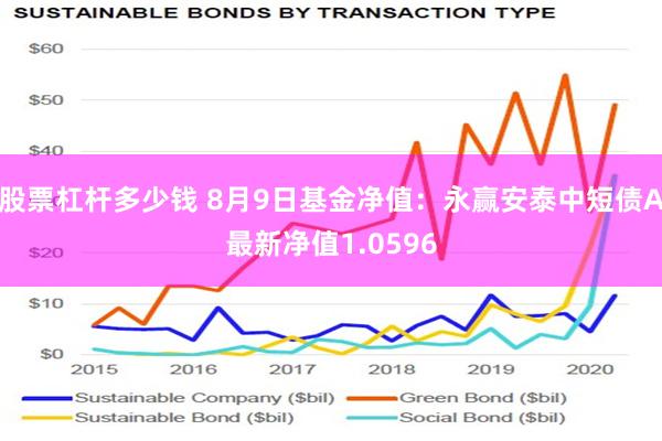 股票杠杆多少钱 8月9日基金净值：永赢安泰中短债A最新净