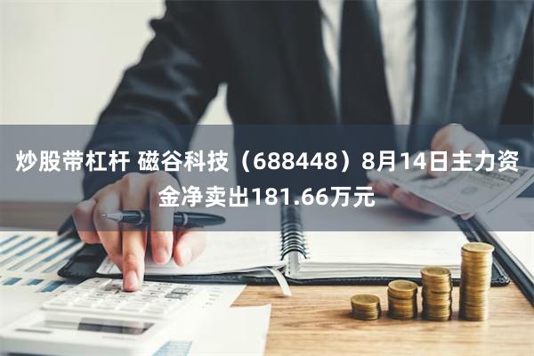 炒股带杠杆 磁谷科技（688448）8月14日主力资金净卖出181.66万元