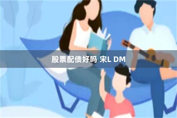 股票配债好吗 宋L DM