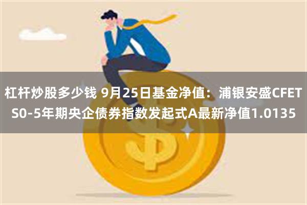 杠杆炒股多少钱 9月25日基金净值：浦银安盛CFETS0-5年期央企债券指数发起式A最新净值1.0135