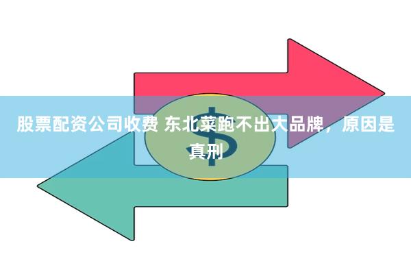 股票配资公司收费 东北菜跑不出大品牌，原因是真刑