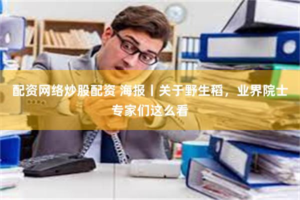 配资网络炒股配资 海报丨关于野生稻，业界院士专家们这么看