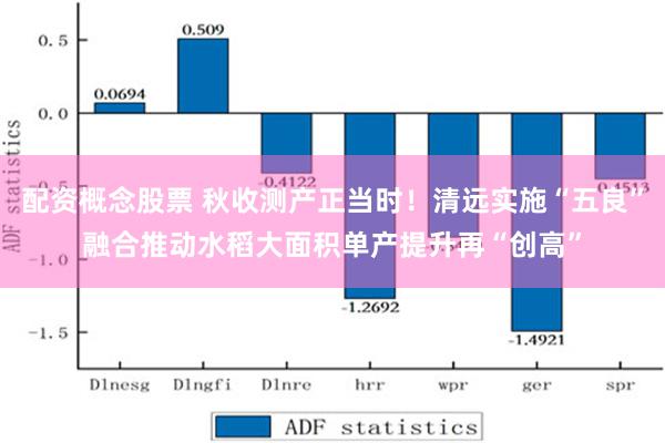 配资概念股票 秋收测产正当时！清远实施“五良”融合推动水稻大面积单产提升再“创高”