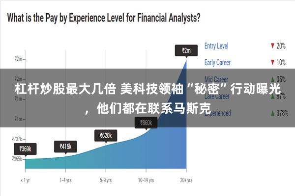 杠杆炒股最大几倍 美科技领袖“秘密”行动曝光，他们都在联系马斯克