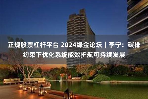 正规股票杠杆平台 2024绿金论坛｜李宁：碳排约束下优化系统能效护航可持续发展