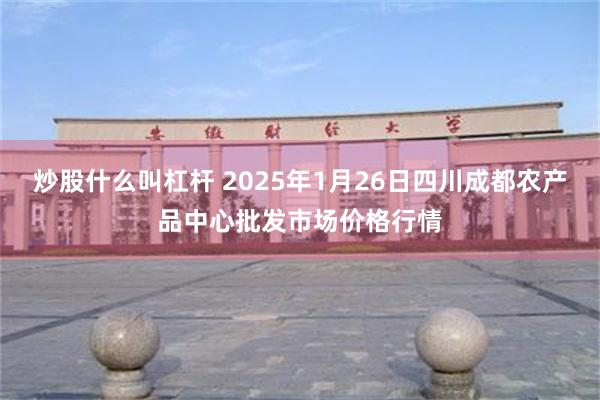 炒股什么叫杠杆 2025年1月26日四川成都农产品中心批发市场价格行情