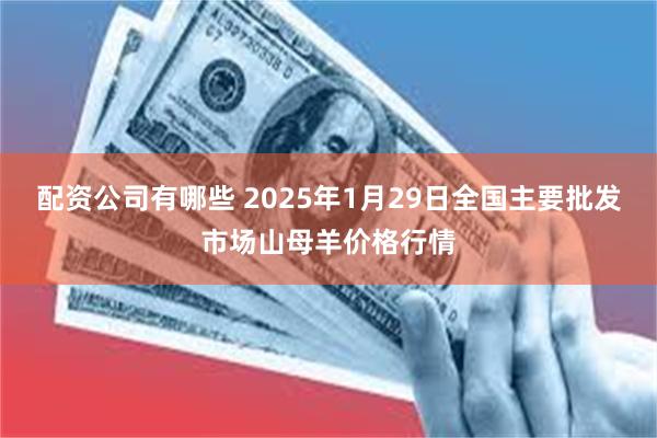 配资公司有哪些 2025年1月29日全国主要批发市场山母羊价格行情