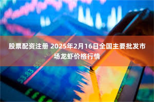 股票配资注册 2025年2月16日全国主要批发市场龙虾价格行情