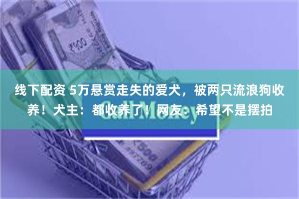 线下配资 5万悬赏走失的爱犬，被两只流浪狗收养！犬主：都收养了！网友：希望不是摆拍