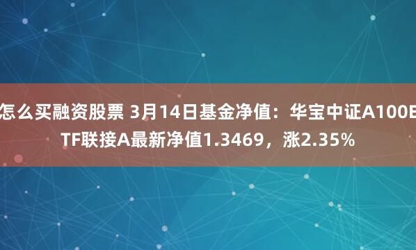 怎么买融资股票 3月14日基金净值：华宝中证A100ETF联接A最新净值1.3469，涨2.35%